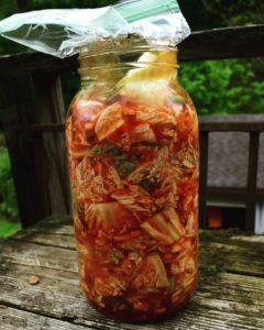 Fermented Kimchi - Purposeful Nutrition: Healing With Food.